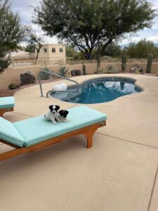 PoolForce-San Juan- Crystal Cove Pool Model