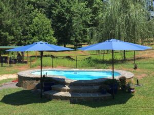 PoolForce-San Juan- Crystal Springs Pool Model