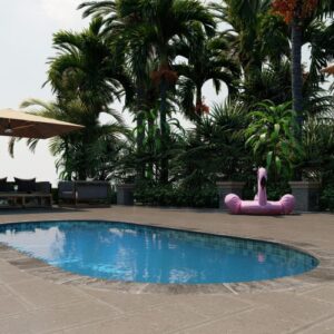 PoolForce-San Juan- Fort Meyers Pool Model 1