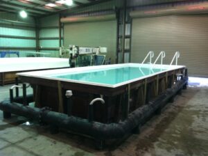 PoolForce-San Juan- Orlando Pool Model